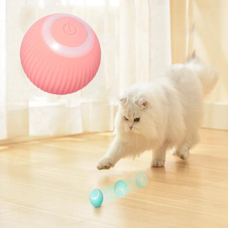Cats Interactive Ball