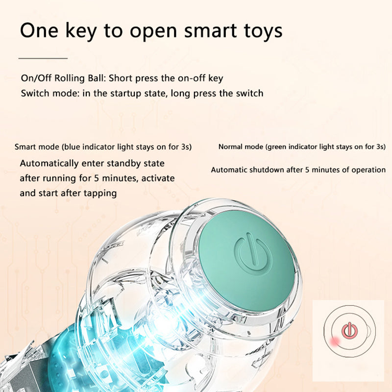 Cats Interactive Ball
