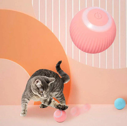 Cats Interactive Ball