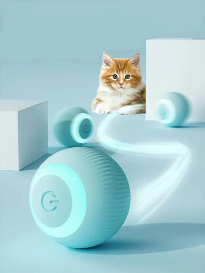 Cats Interactive Ball