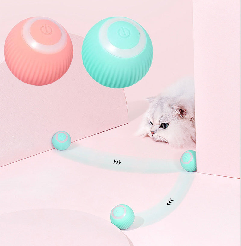 Cats Interactive Ball